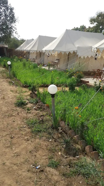 Royal Pushkar Camps