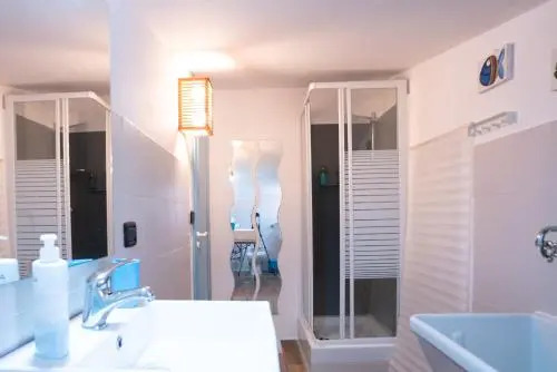 Gekos House