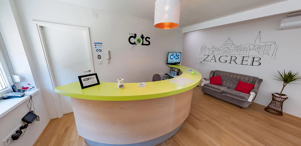 The Dots Hostel
