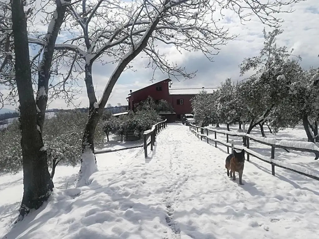 La Masseriola agriturismo