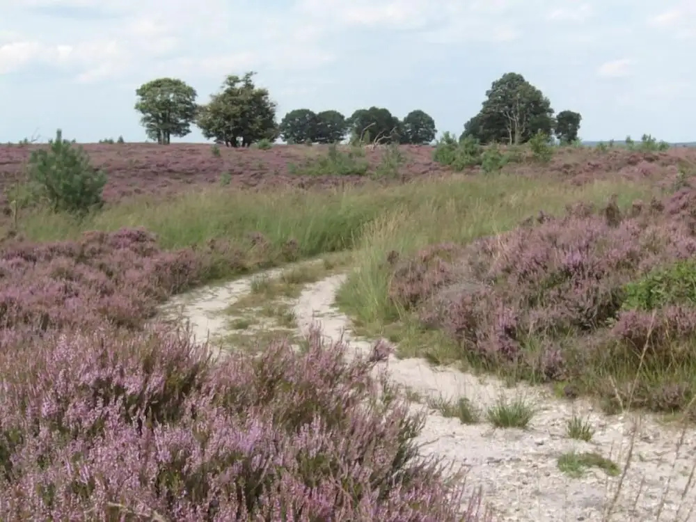 Restaurant & Hotel Hoog Holten