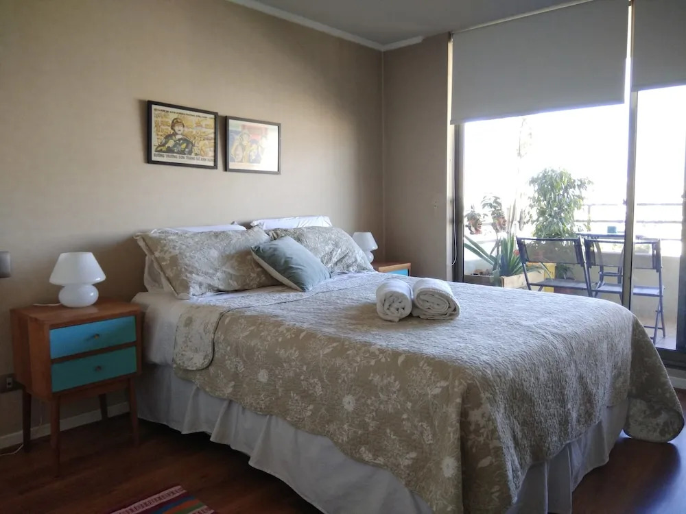 Central Apartment Providencia