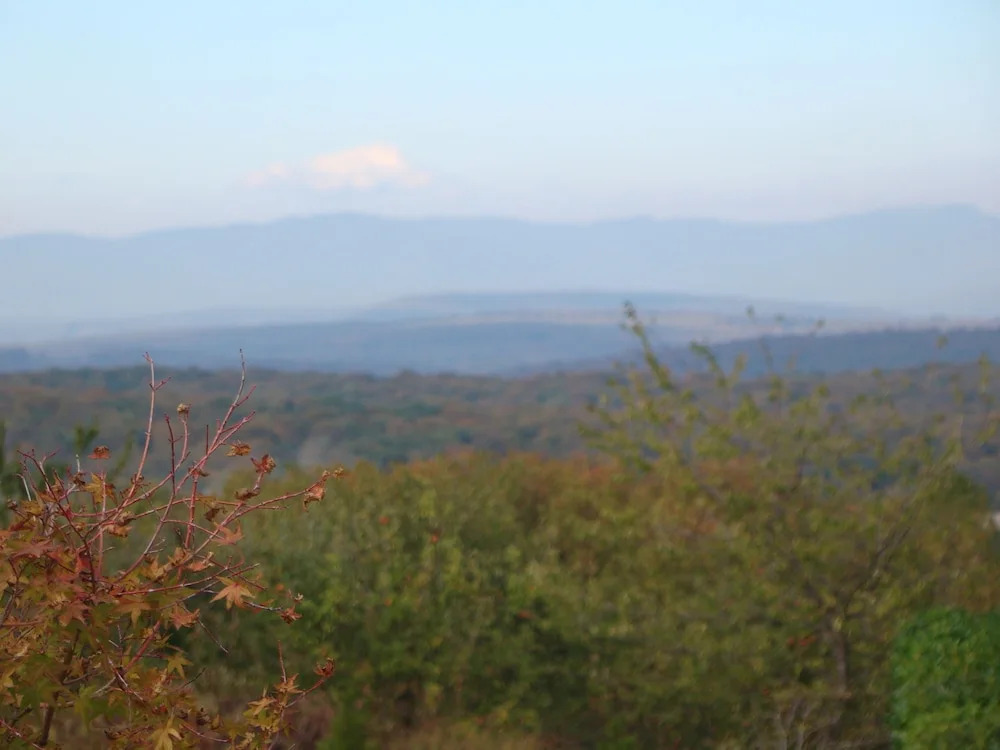 Entre Vosges et Jura