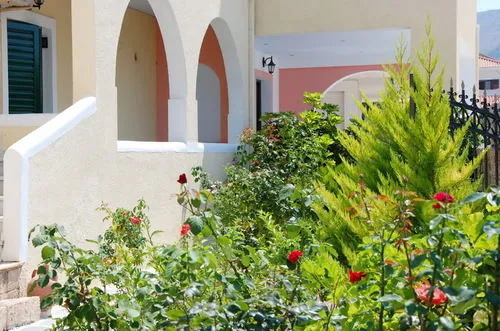 Alvi Studios