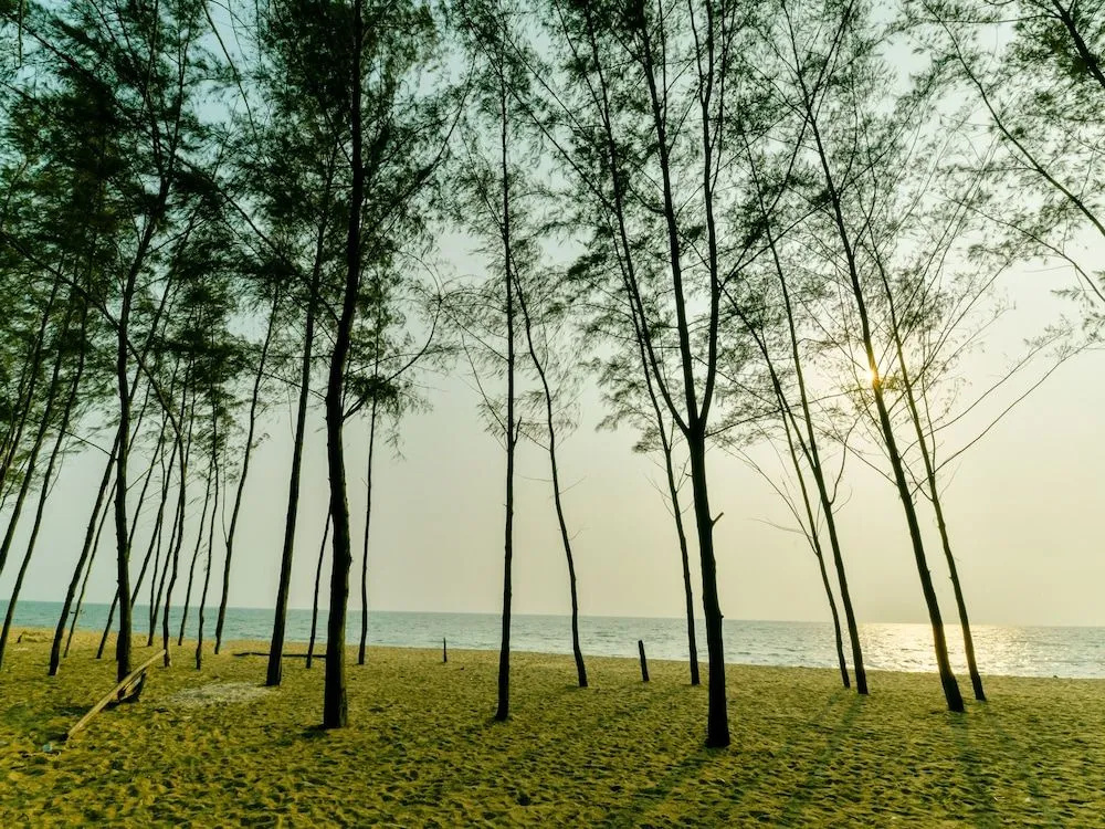 OYO 13415 Cherai Village Home Stay