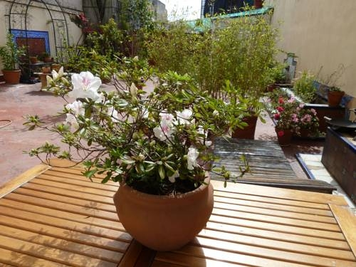 Via Arriba terraza
