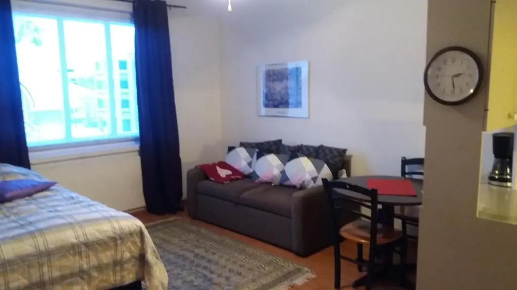Cosy studio apartment