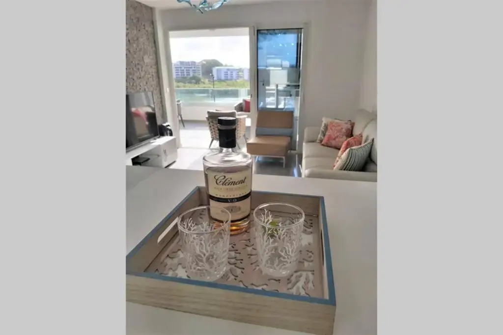 Appartement neuf vue Marina étang Z'abricot FDF