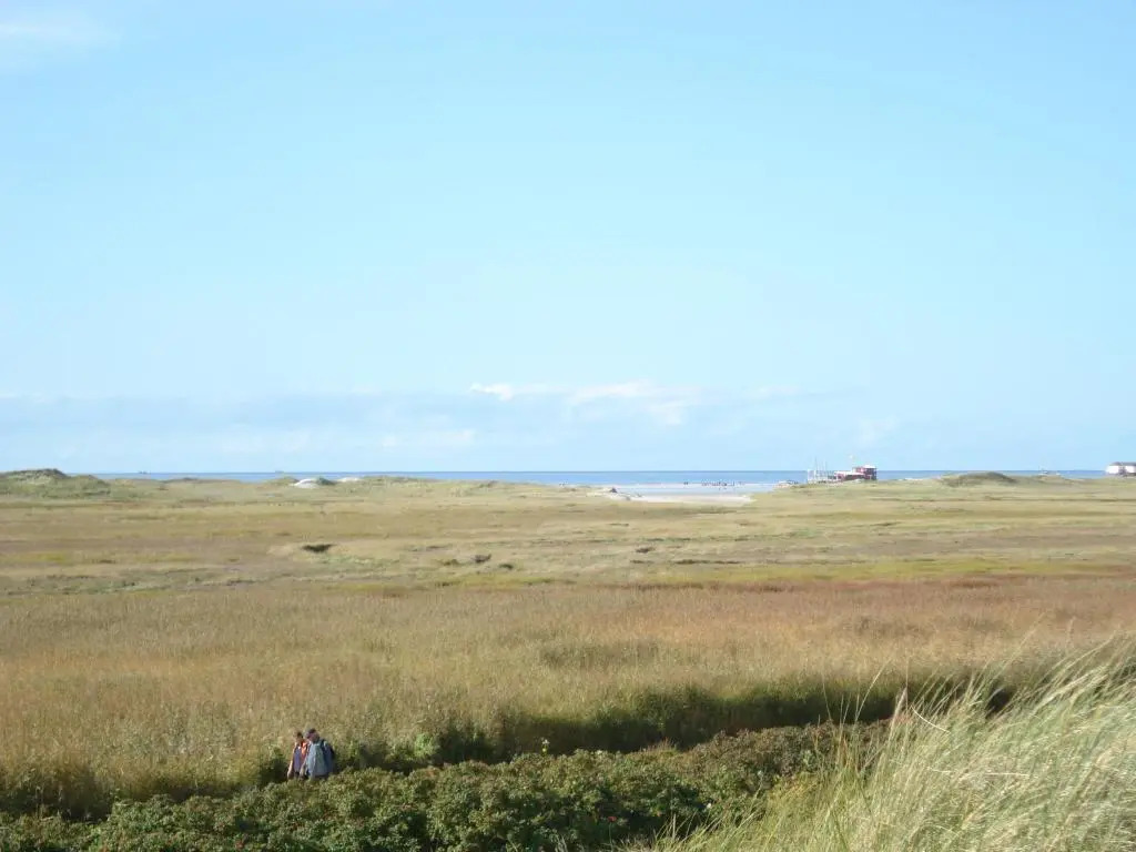 "Strand" - Haus Hartwig