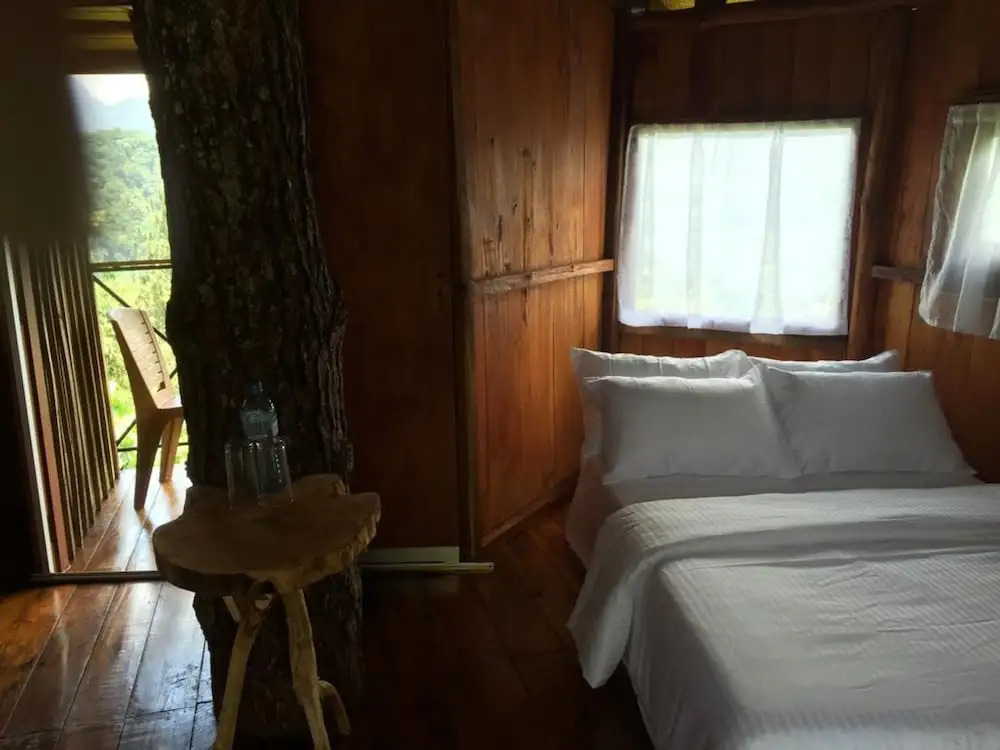 The Tree House