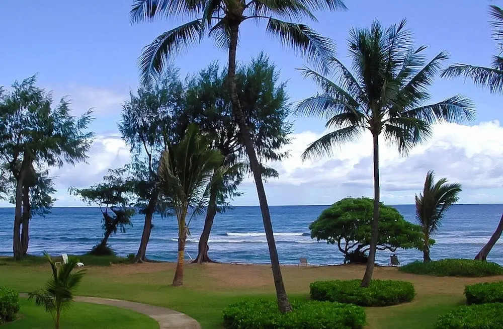Islander on the Beach 259 - studio Br Condo
