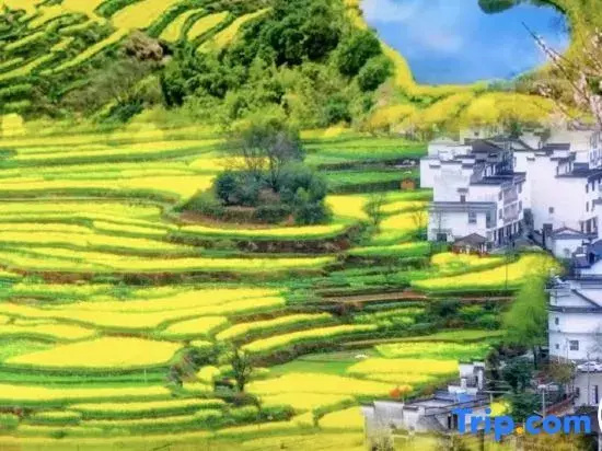 Wuyuan Fanshe・Life Qingshe Xiangye Boutique Stay