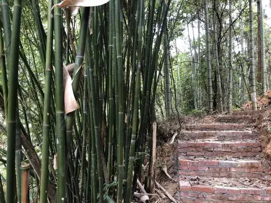 Xinghegu Ecological Resort