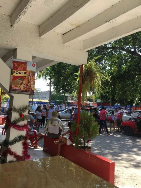 Hotel Zona Tropical