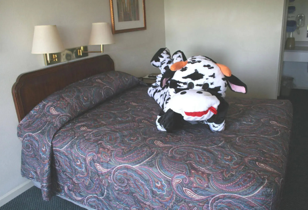 Town and Country Motel