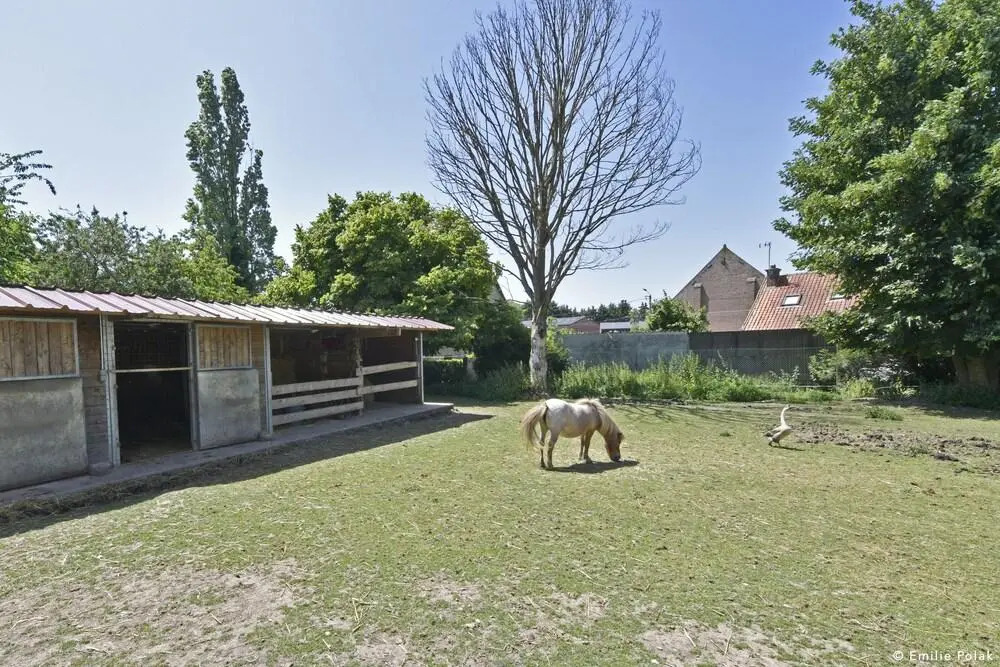 Roulotte La Verdine