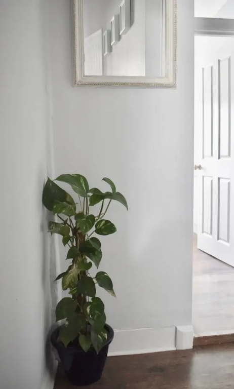 Cozy 1 Bedroom Home Near Central Brighton
