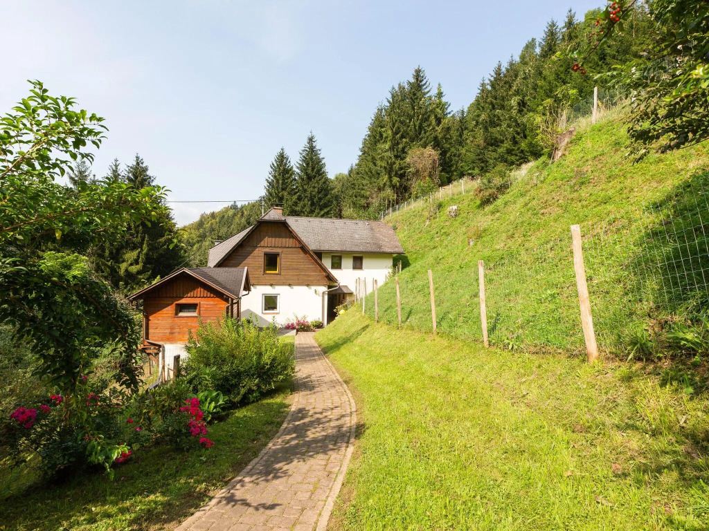 Apartment Near the Koralpe ski Area
