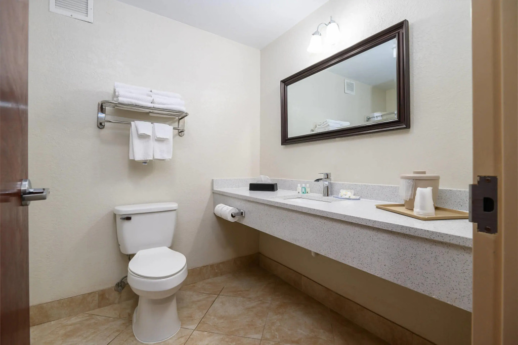 Quality Inn & Suites Lexington South