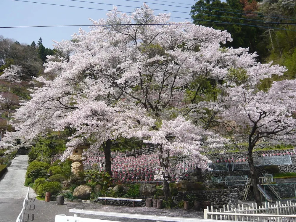 Echigoya Ryokan