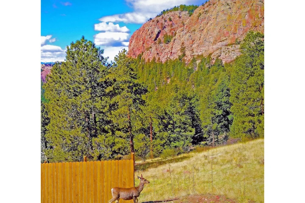 Secluded W/ Game Room & Huge Wraparound Deck 3 Bedroom Cabin