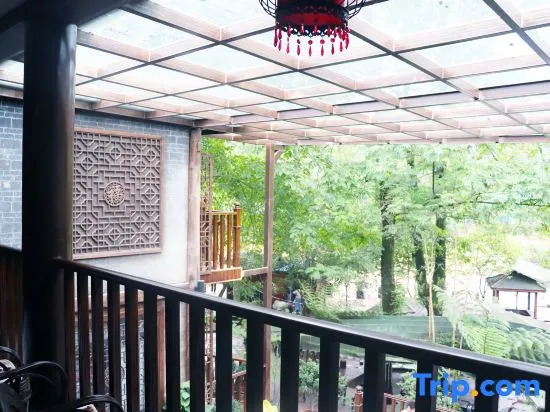 Hongya Liujiang Ancient Town Alsophila spinulosa B&B
