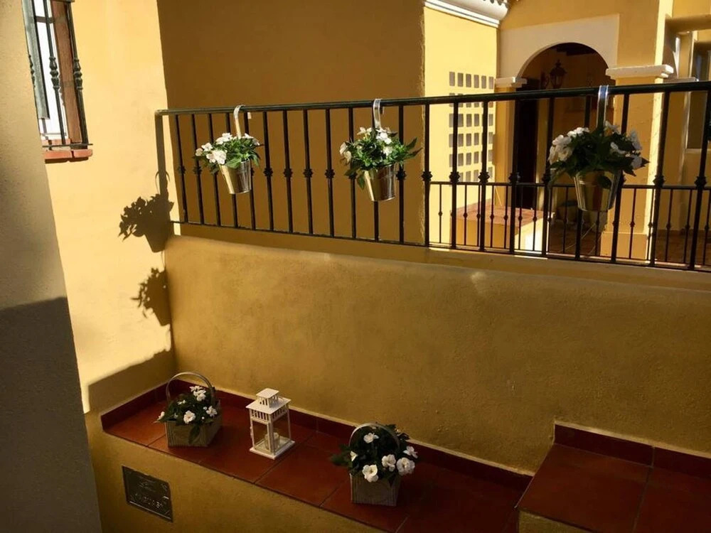 Apartment With one Bedroom in Estepona, With Pool Access and Furnished