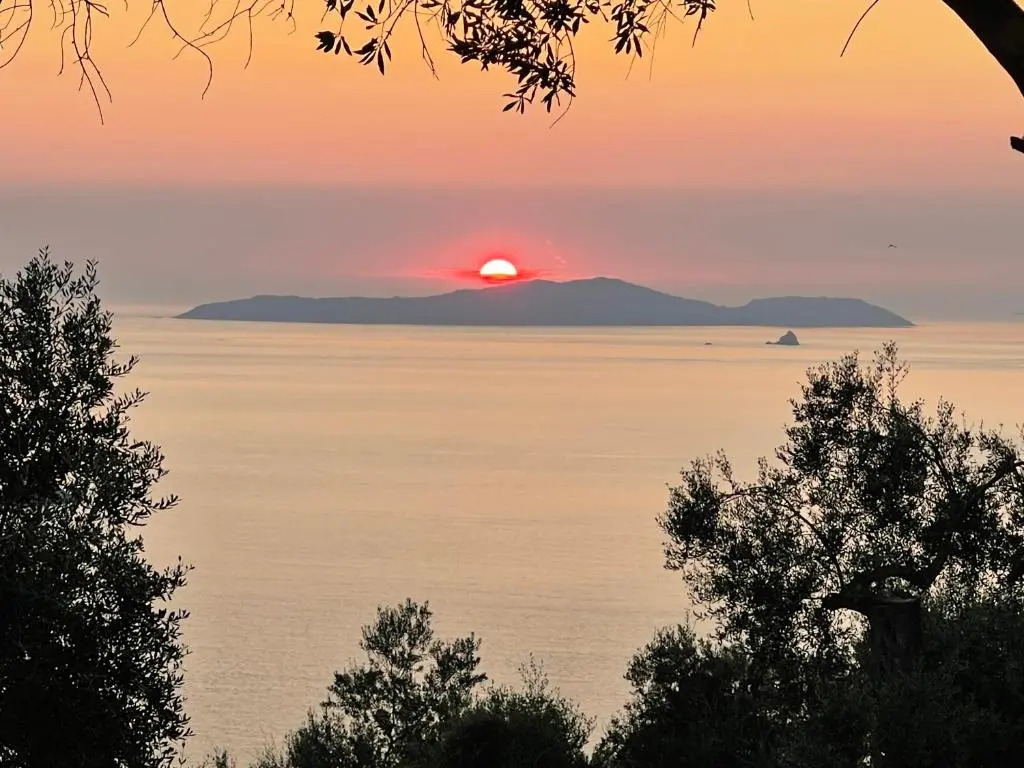 ARILLAS HILLSIDE VILLA 3 - Provence