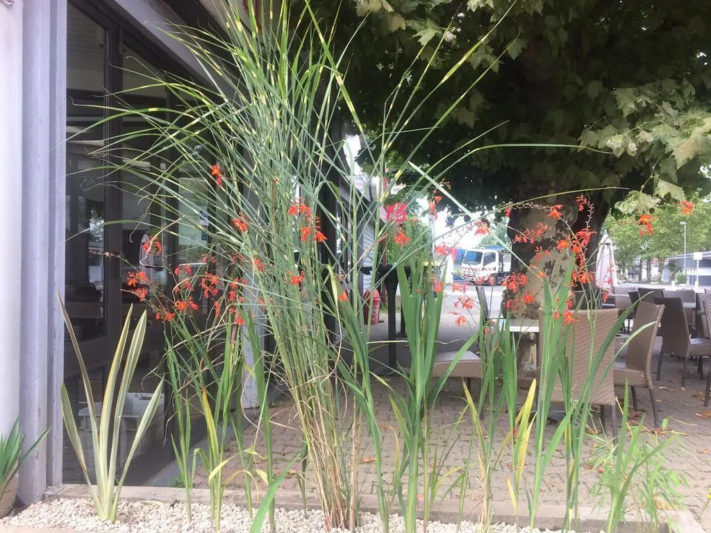 Hotel La Hourquie Café