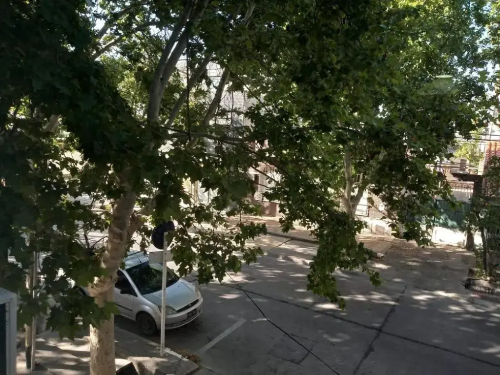 Apartamentos Céntricos V