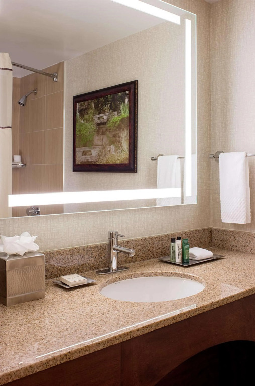 Hilton Houston Southwest