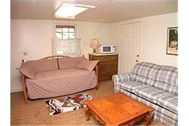 2921 Freel Peak Holiday Home