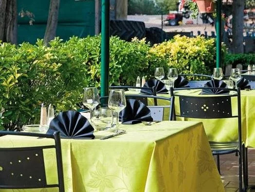 Logis Hotel Restaurant Le Flamant Rose camargue