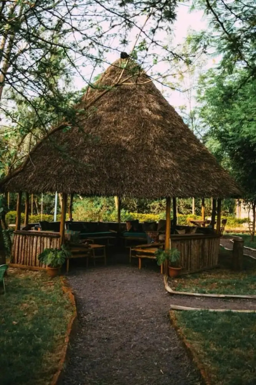 Patamu Restaurants Lodge & Safaris