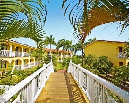 The Tropical