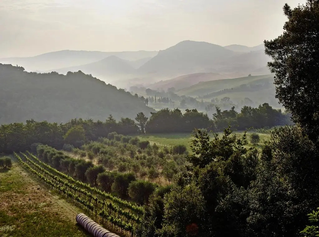 Agriturismo Podere Cortilla