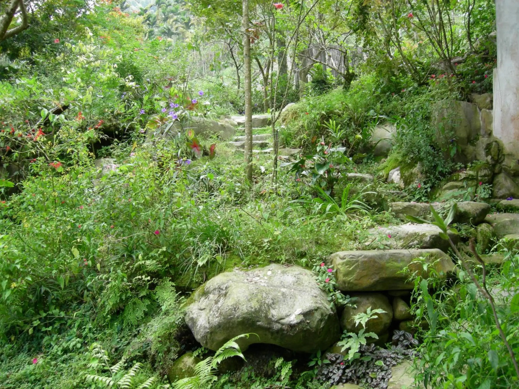 Siyuan Ju Homestay