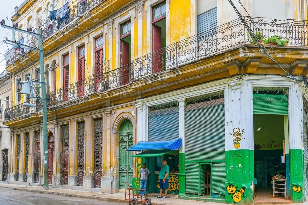Casa Palomino House