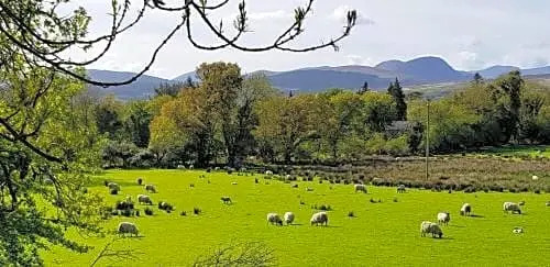 Mountain View Bed & Breakfast, Kenmare, Co. Kerry, Ireland