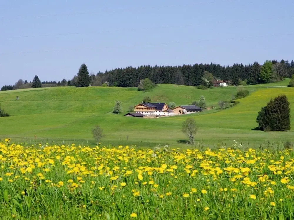 Holiday Apartment Almstuberl