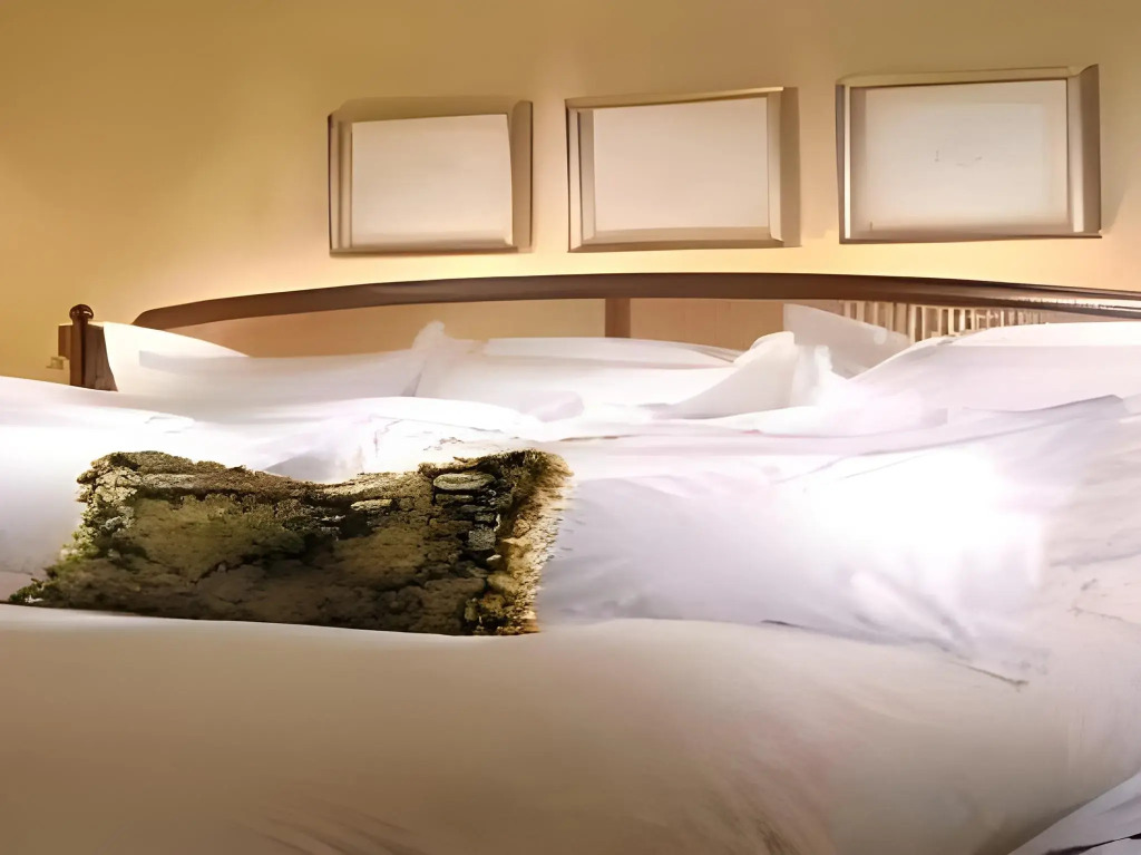Hotel Sorrento