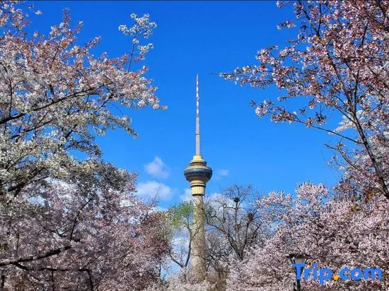 Vifan Hotel (Beijing Air Force General Hospital Cuiwei Road)