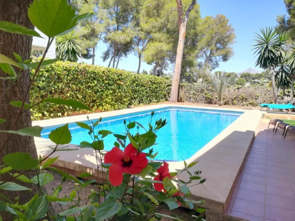0303 Villa Ciruela
