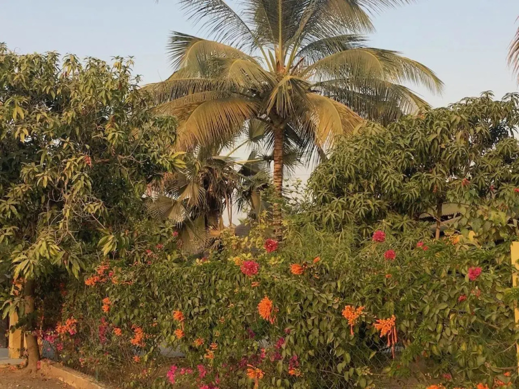 Les Maisons De Marco SENEGAL - B&B