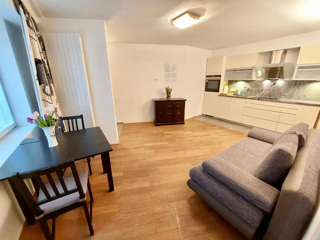 Vienna Studio Apartments