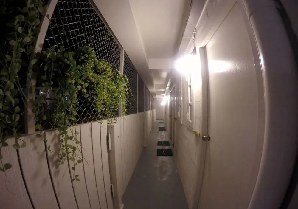 The Pier Hostel