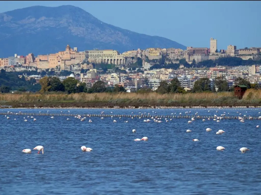 CeO LUXURY SUITE DI CAGLIARI