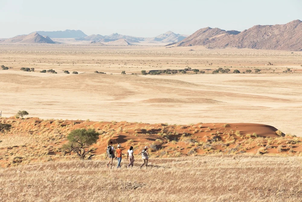 Desert Whisper