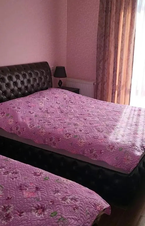 Apartment near didveli