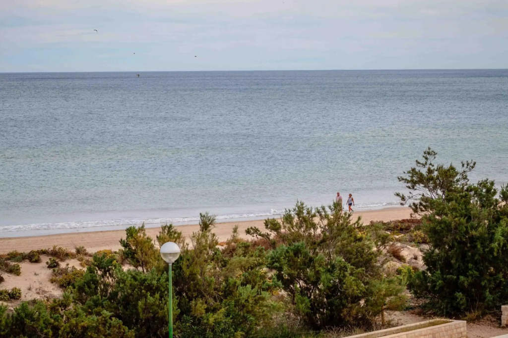 Relax Total Junto Al Mar